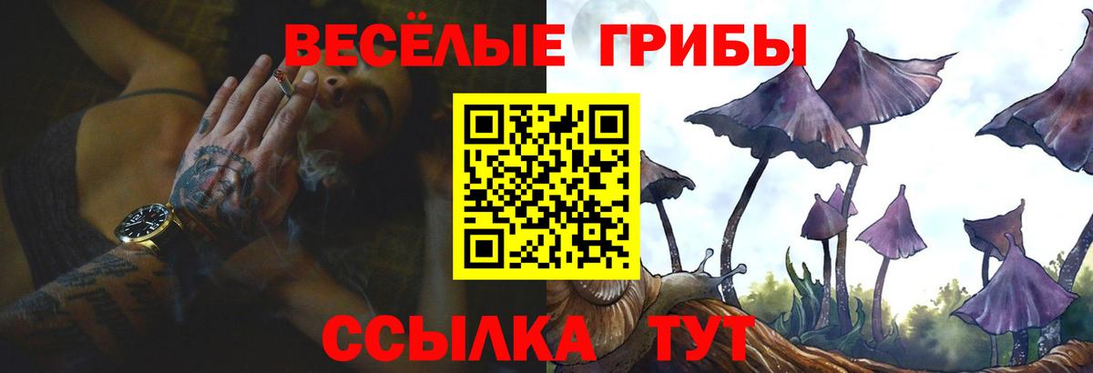 Электрогорск  Галлюциногенные грибы Magic Shrooms  Псилоцибиновые грибы прущие грибы  Вход с VPN 